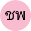ชาติชาย พลายงาม